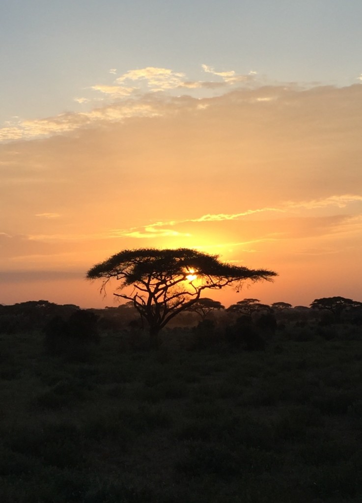 Sunset in Amboseli