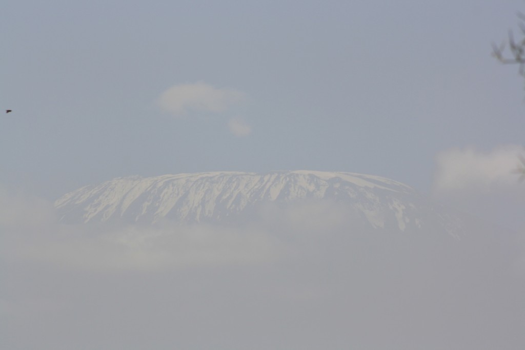 Toppen av Kilimanjaro